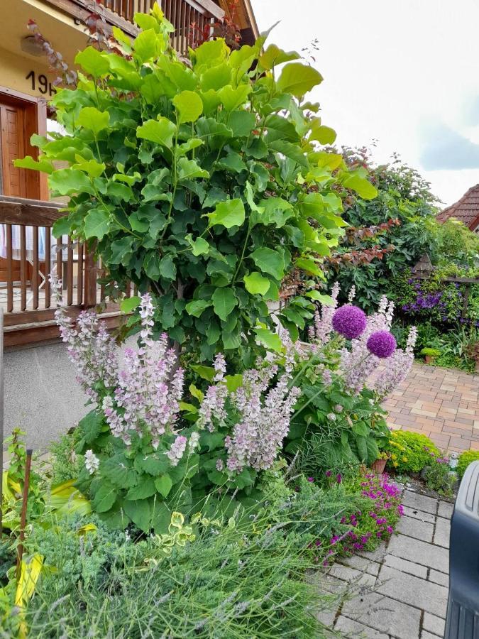 Апартаменты Harmonia Vendeghaz 100 Meterre Az Igali Gyogyfuerdotol Экстерьер фото