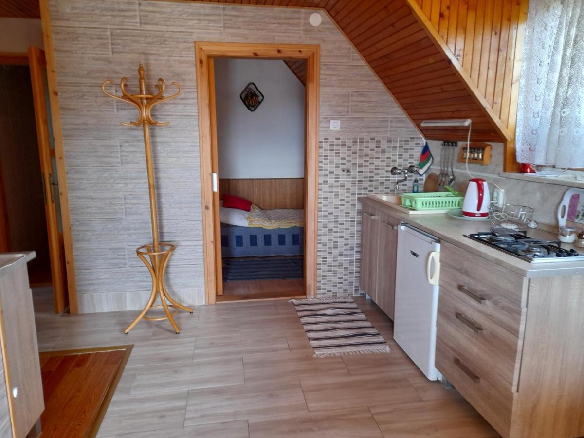 Апартаменты Harmonia Vendeghaz 100 Meterre Az Igali Gyogyfuerdotol Экстерьер фото
